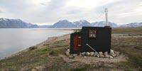 In the Absence of Bees, Flies Are Responsible for Pollination in the Arctic Region