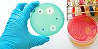 Investigational Antibiotic Effective Against Drug-Resistant Bacteria in Phase 2 Trial