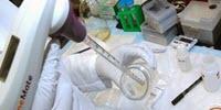 Making Mice a Tiny Bit More Human to Study Preterm Birth