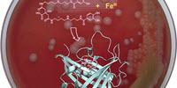 New Agent Against Anthrax