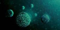 Overcoming the Challenges of Single-Cell Analysis