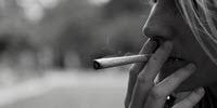 Sex, Drugs, and Estradiol: Why Cannabis Affects Women Differently