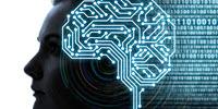 Unlocking the Secret of How the Brain Encodes Speech