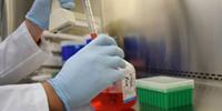 UTMB Develops a Universal Vaccine Platform That's Cheaper and Shelf Stable
