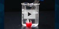 Wood Sponge Soaks Up Oil from Water