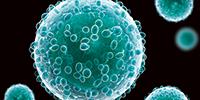 In Three Dimensions: A Cell Culture Revolution