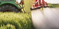 Leading Researchers Call for a Ban on Widely Used Insecticides