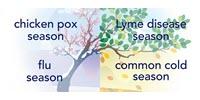 Mark Your Calendar: All Infectious Diseases Are Seasonal