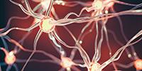 Never-Before-Seen DNA Recombination in the Brain Linked to Alzheimer's Disease