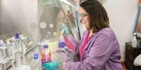 New Drug Discovery Could Halt Spread of Brain Cancer