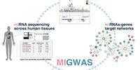 New Integrated Analytical Approach Reveals Molecules Involved in Disease