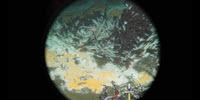 Newly Discovered Deep-Sea Microbes Gobble Greenhouse Gases