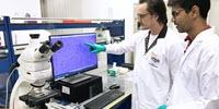 NUS Researchers Offer Solution in Fight Against Fake Graphene