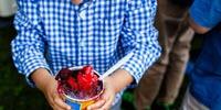 Researchers Improve Potential to Identify Diet-Disease Relationships