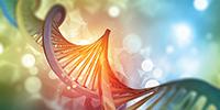 Sanger Sequencing: Still the Gold Standard?