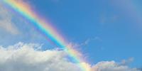 Using Spectroscopy to Monitor Toxicity
