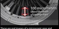 How Microscopic Machines Can Fail in the Blink of an Eye