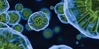 How Water Contaminants Impact Lab Analyses