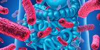 Study Discovers More Than 6,000 Antibiotic Resistance Genes in Bacteria That Inhabit the Human Gut