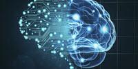 Survey of AI Trends Finds Advances in Working with Human Languages, Global Reach