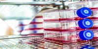 How to Accurately Measure CO2 in Life Science Incubators