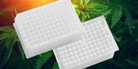 Preparing Samples of Cannabis Plant for THC/CBD Analysis