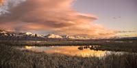 Aiming for Gold: Improving Reproducibility in Hydrology Studies