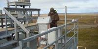 Fossil Fuel Combustion Is Main Contributor to Black Carbon around Arctic