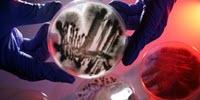 How a Fungus Can Cripple the Immune System