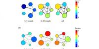 In Small Groups, People Follow High Performing Leaders