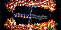 Nano-Infused Ceramic Could Report on Its Own Health