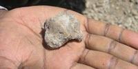 New Findings Shed Light on Origin of Upright Walking in Human Ancestors