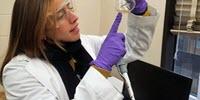 Using E. Coli to Create Bioproducts in a Cost-Effective Manner