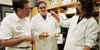 Avocado Seed Extract Shows Promise as Anti-Inflammatory Compound