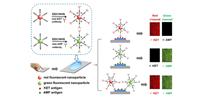 Fingermark Imaging for Drug Detection