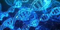 How Hot Spots of Genetic Variation Evolved in Human DNA