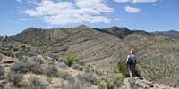 Researchers Uncover New Clues to Surviving Extinction