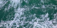 Seawater Bacteria Provides Leads to Fight Melanoma