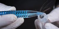 Solving a Hairy Forensic Problem