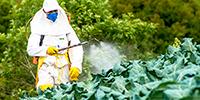 Sustainable and Natural Alternative to Man-Made Chemical Pesticides Discovered