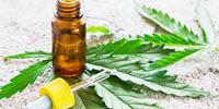 Yeast Produce Low-Cost, High-Quality Cannabinoids