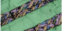 'Ghostly' Signs of a Mysterious New Mineral Discovered
