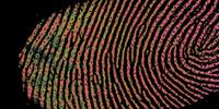 Cutting-Edge Fingerprint Technology Could Help in the Fight Against Knife Crime