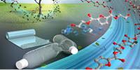 Green Plastic Production Made Easy
