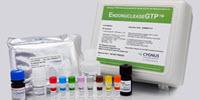 New Kit Identifies Endonuclease Impurities in Gene Therapy and Vaccine Development