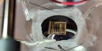 New Quantum Material Could Warn of Neurological Disease