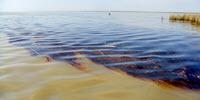 New Report Examines Safety of Using Dispersants in Oil Spill Cleanups