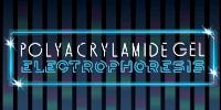 Polyacrylamide Gel Electrophoresis