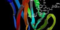 Scientists Are World's Firsts to Reproduce Complete Copy of 'Anti-Tumor Antibiotic'