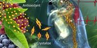 Smart Antioxidant-Containing Polymer Responds to Body Chemistry, Environment